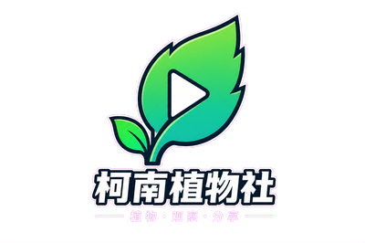 抖阴